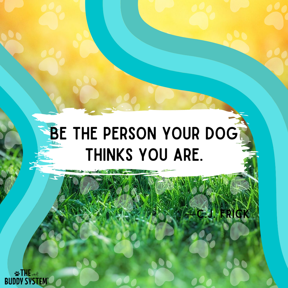 Our Favorite Dog Quotes