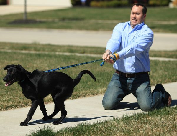 man pulling dog on a leash