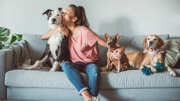Pet Content Creators to Follow in the USA