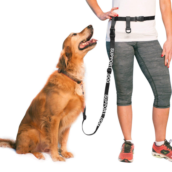 Dog Waist Leash Why You Should Get One The Buddy System The Buddy