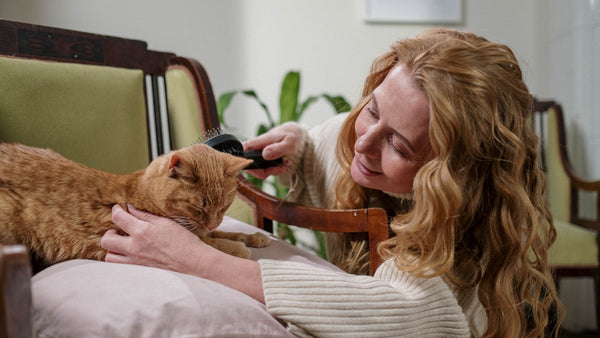 Pet Pampering 101: How to Give Your Pet a Relaxing At-Home Spa Day