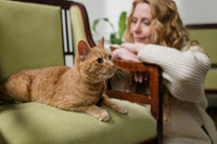 Lady looking lovingly at cat sitting on the sofa