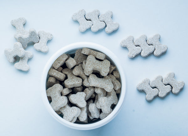 Dog Treats: Beyond the Bite