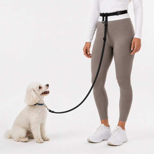 The Buddy System Waist Leash - Hands Free Dog Leash, Adjustable Leash for Running, Jogging, Training and Service Dogs, Great for Small, Medium and Large Dogs, Made in USA - for Small Dogs (under 20 pounds)