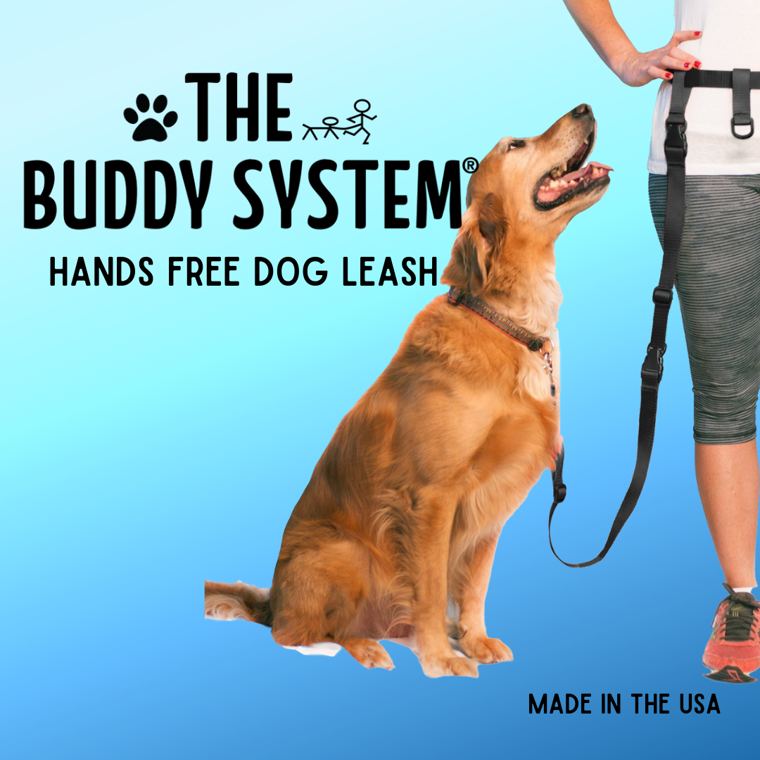 The Buddy System Small Flat Bottom Plastic Cone Holder #35 - 1400/Case