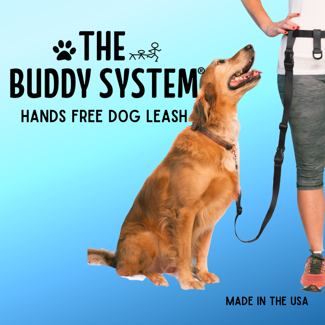 Hands Free Dog Leash For Training Running and Jogging. Made in USA The Buddy System