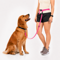 The Buddy System Waist Leash - Hands Free Dog Leash, Adjustable Leash for Running, Jogging, Training and Service Dogs, Great for Small, Medium and Large Dogs, Made in USA - for Regular Dogs Made in USA (over 20 Pounds)