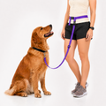 The Buddy System Waist Leash - Hands Free Dog Leash, Adjustable Leash for Running, Jogging, Training and Service Dogs, Great for Small, Medium and Large Dogs, Made in USA - for Regular Dogs Made in USA (over 20 Pounds)