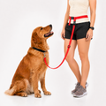 The Buddy System Waist Leash - Hands Free Dog Leash, Adjustable Leash for Running, Jogging, Training and Service Dogs, Great for Small, Medium and Large Dogs, Made in USA - for Regular Dogs Made in USA (over 20 Pounds)
