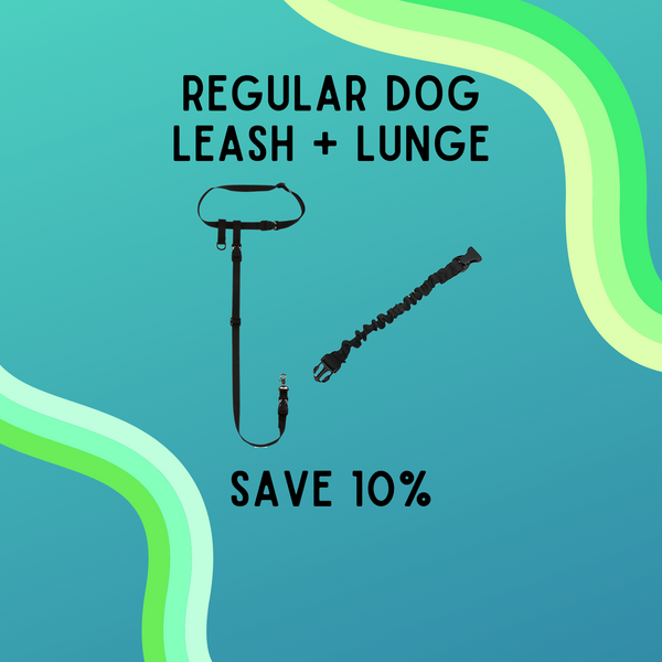 BUNDLE - Regular Dog Leash + Regular Dog Lunge Buster