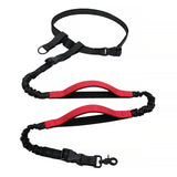 The Buddy System Reflective Leash System, Dual Handle and Hands Free Dog Leash for Walking, Running, Jogging and Training Service Dogs, Adjustable Belt Waist, One Size