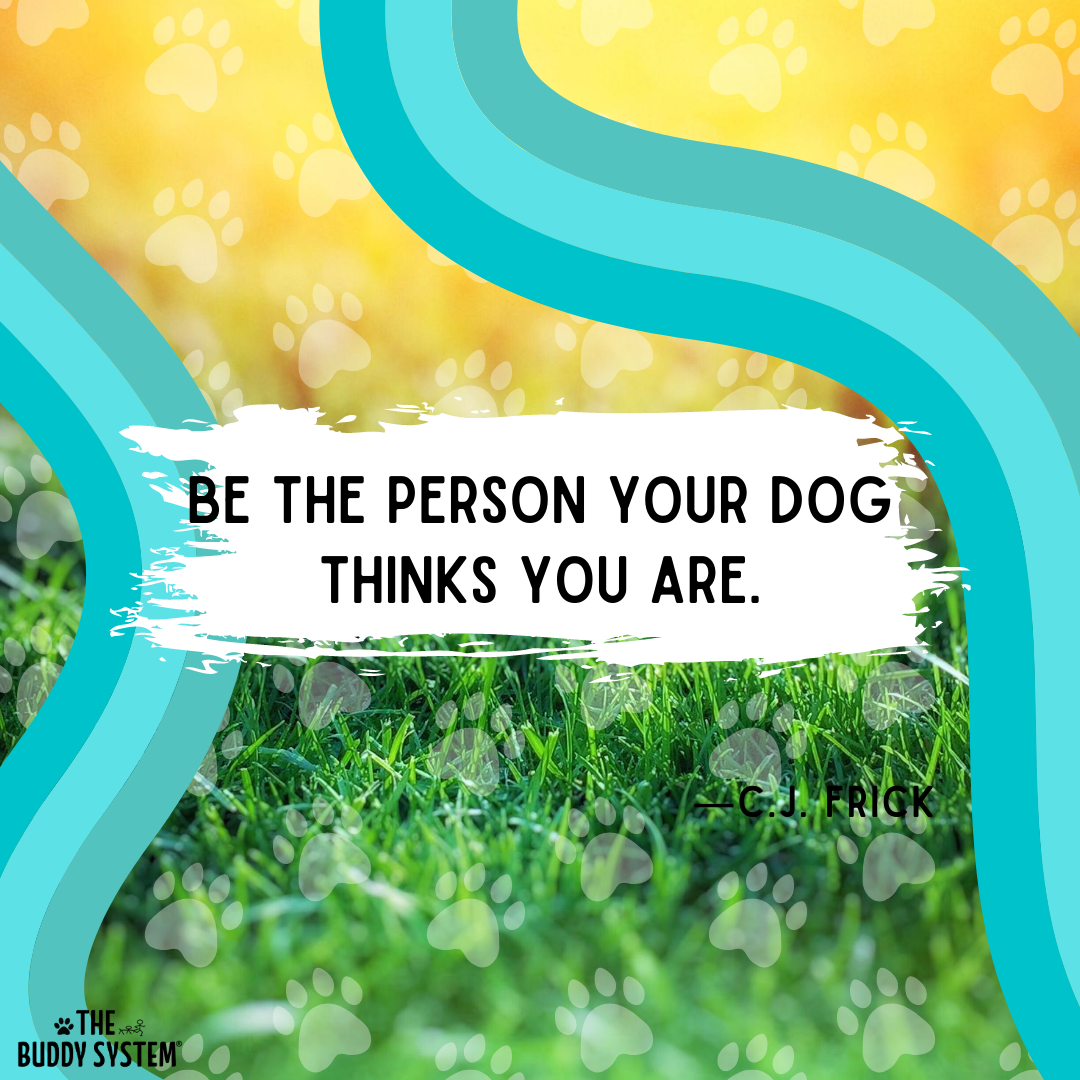 Our Favorite Dog Quotes