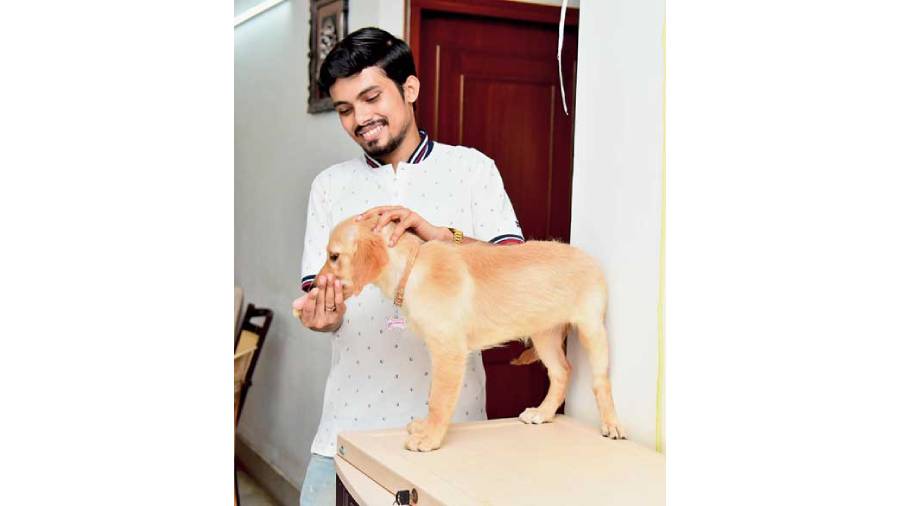 Man feeding a brown dog