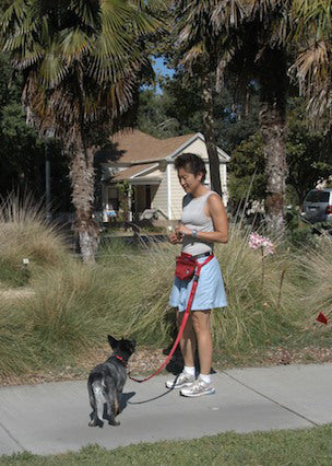 Walk on Loose Leash, Part 1:  Choose the Right Walking Pace and Make It Clear Pulling Doesn’t Work