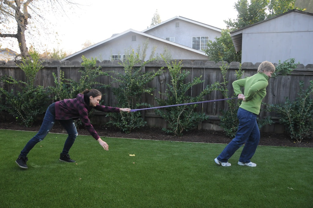 Regular Leash vs. Hands-free Waist Leash: Which is Safer When Your Dog Pulls?