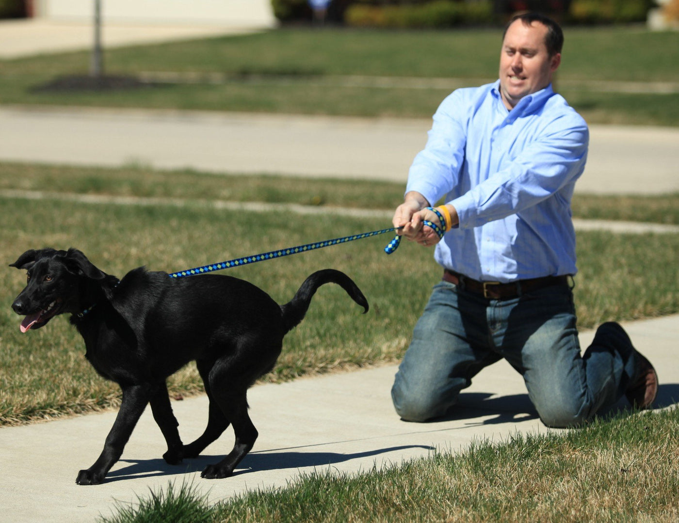 man pulling dog on a leash