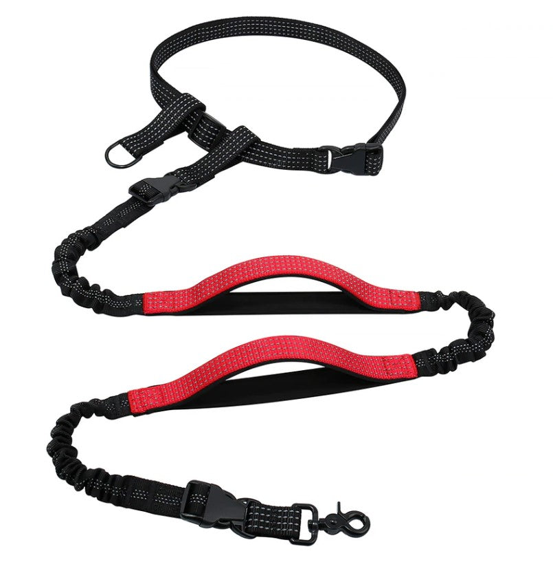 7 Best Hands-Free Dog Leashes in 2022