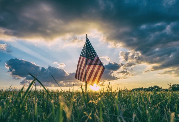 Why Choose Dog Leashes Made in the USA