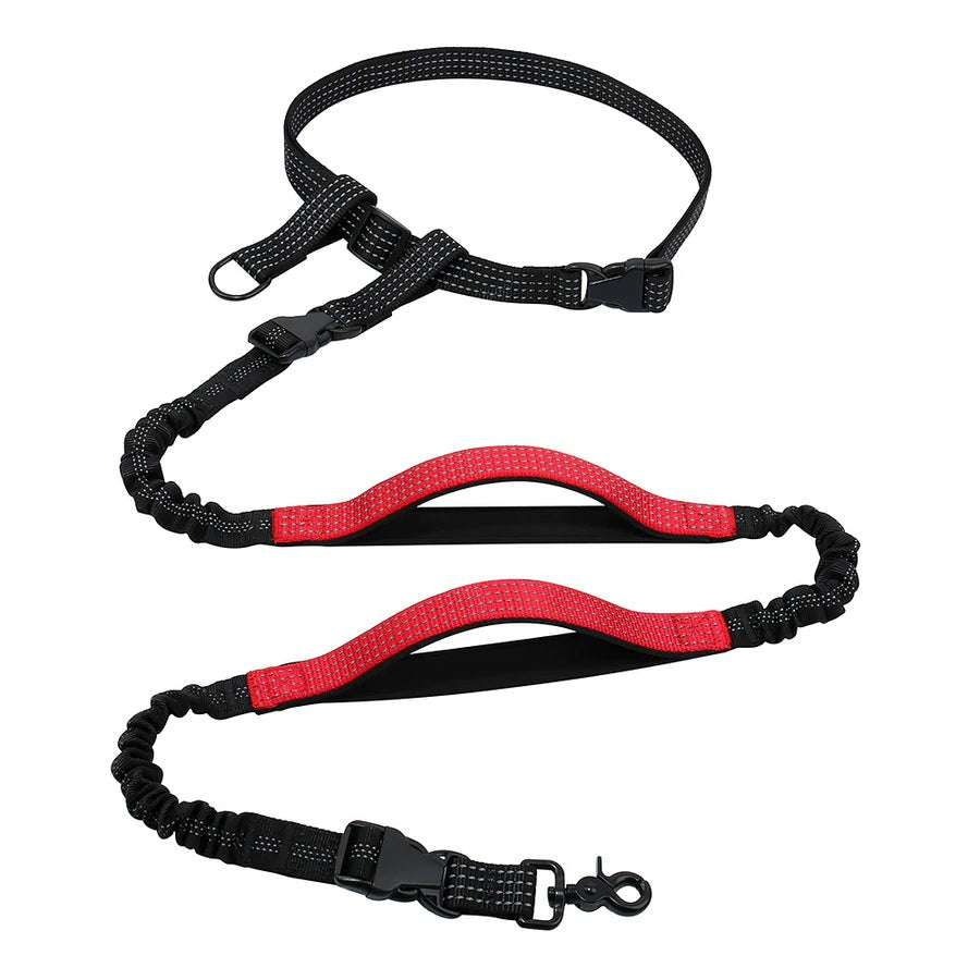 reflective hands free dog leash