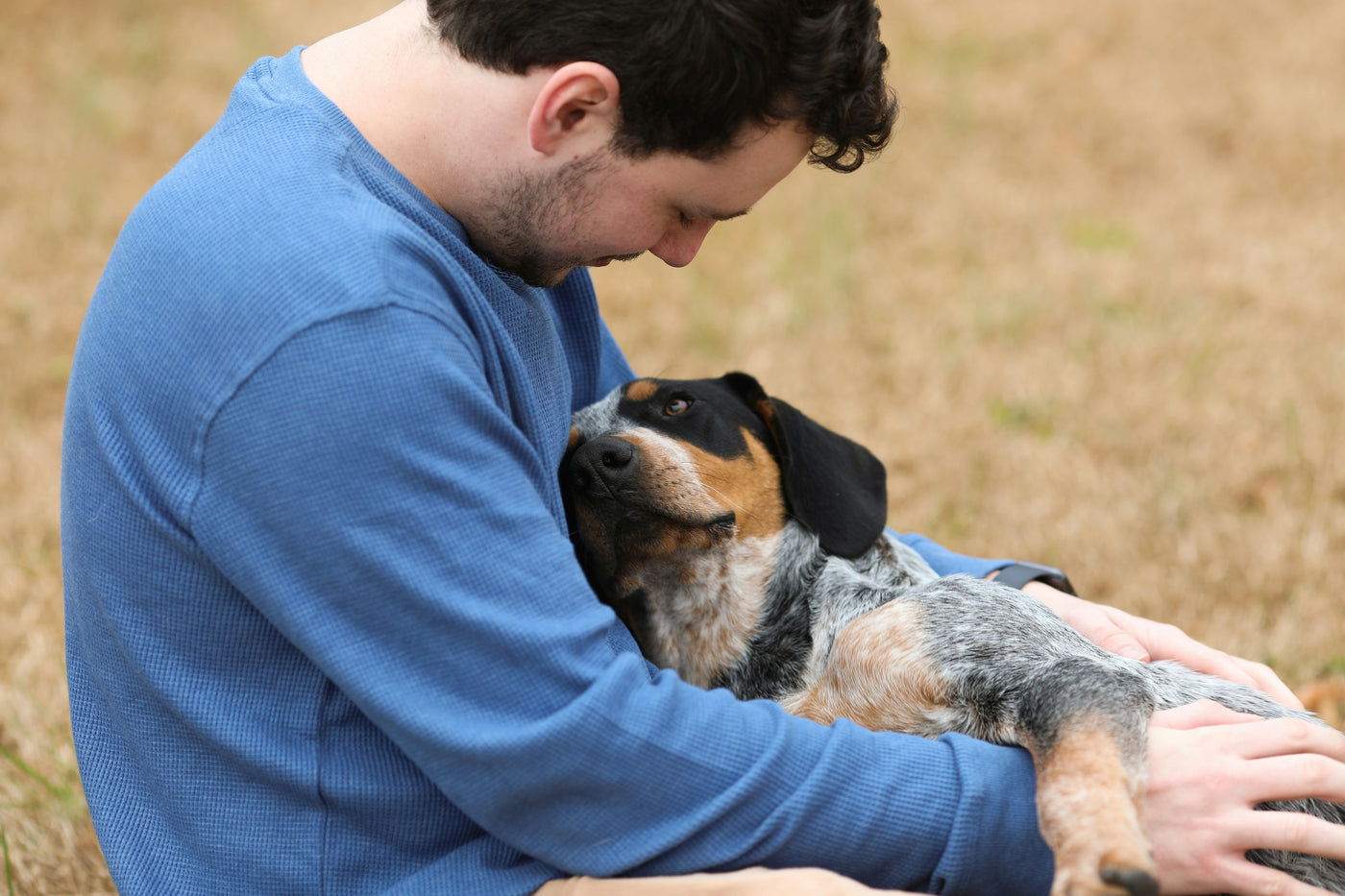 How Dogs Show Their Emotional Connection with Humans