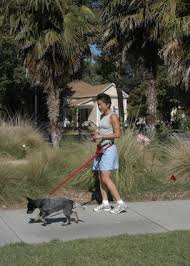 Hands-Free Dog Leashes the Best-Made Hands-Free Leashes Can Really Help Reform Dogs Who Pull