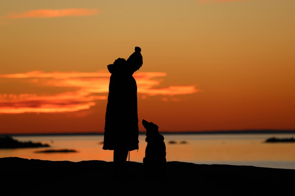 A Year of Adventure: 5 Outdoor Goals to Set with Your Dog in 2025