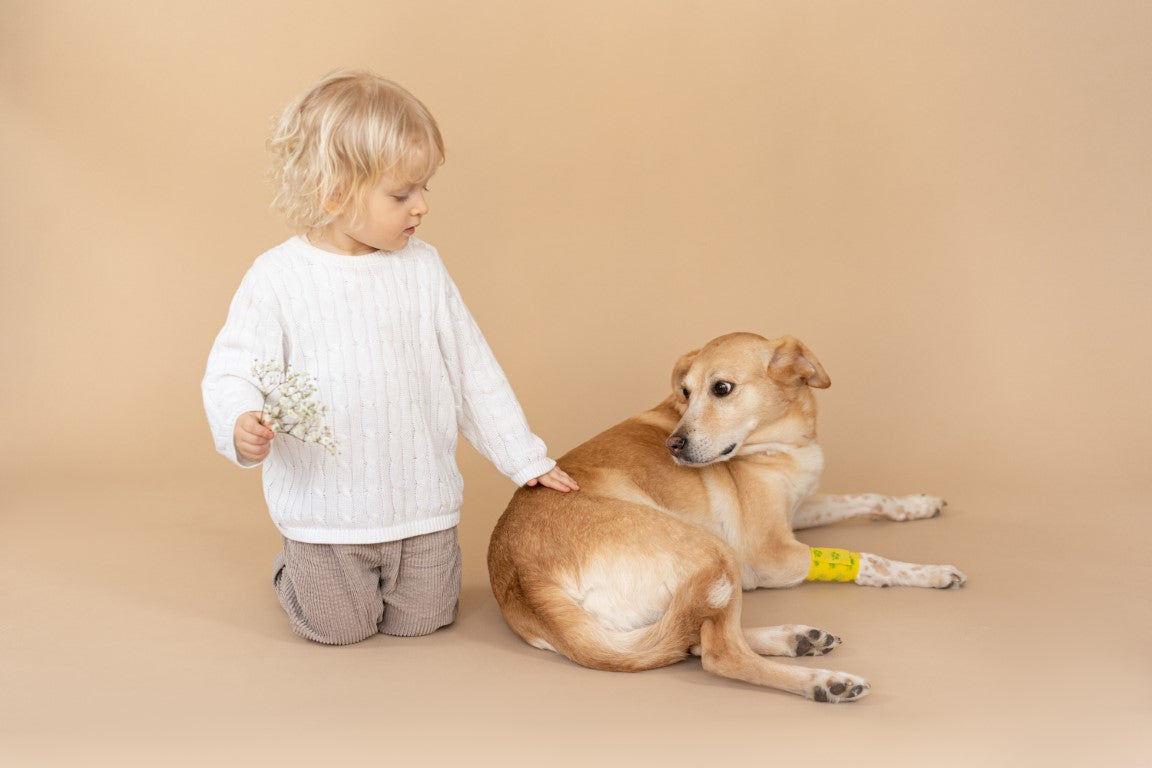 How Pets Teach Responsibility: A Journey of Growth and Understanding