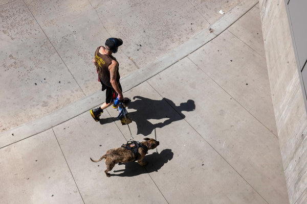 Does Your Dog Feel Your Stress During Walks? Here’s What the Science Says