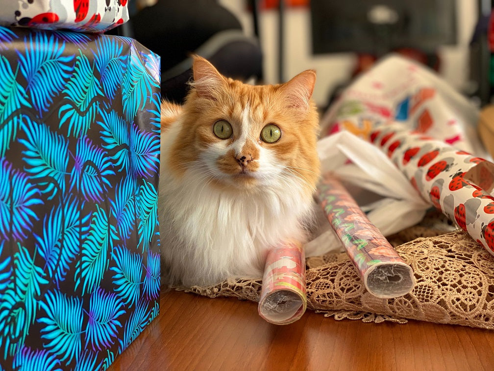 top gifts for your cats