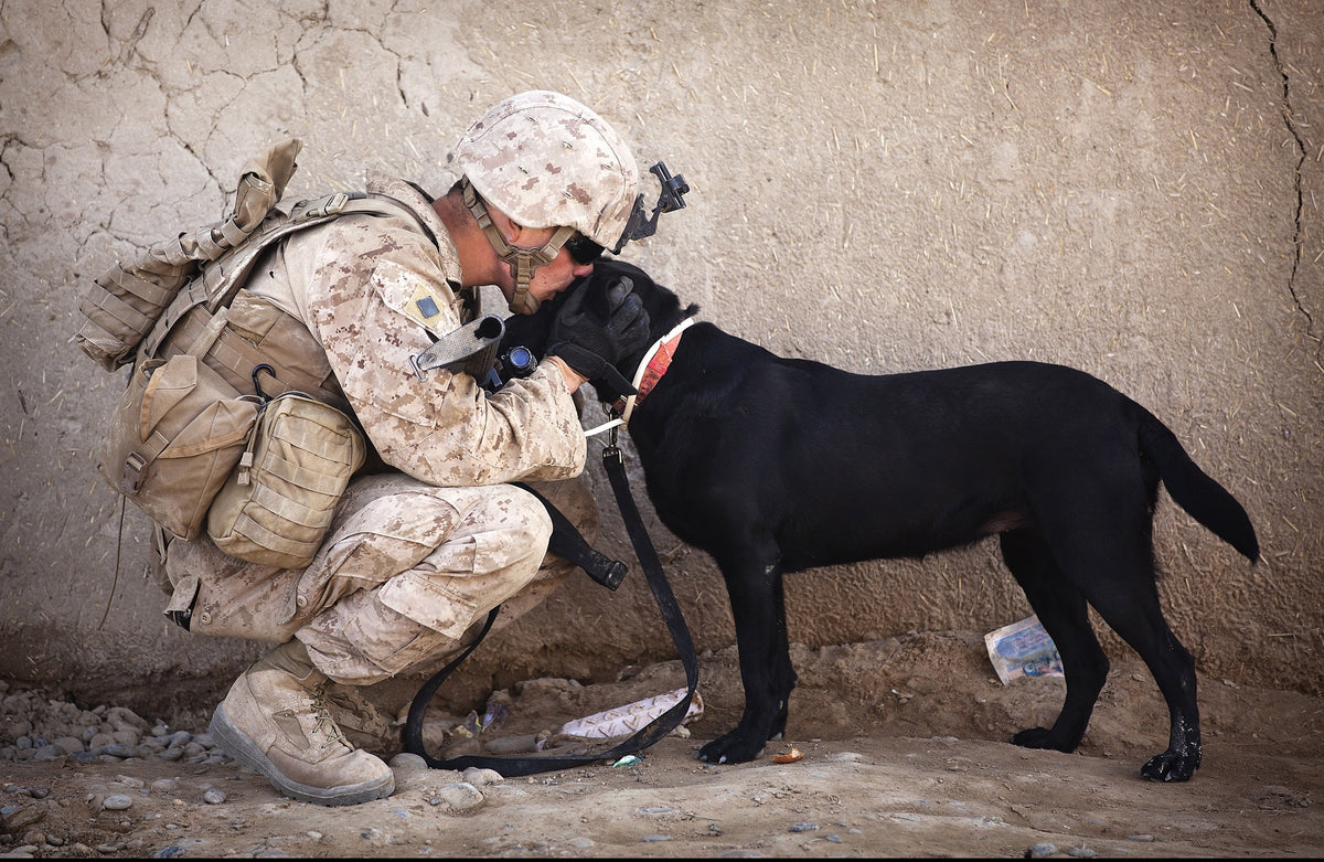 soldier with service dog