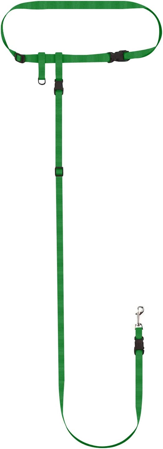 The Buddy System Waist Leash - Hands Free Dog Leash, Adjustable Leash for Running, Jogging, Training and Service Dogs, Great for Small, Medium and Large Dogs, Made in USA - for Small Dogs (under 20 pounds)