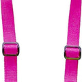 The Buddy System Double Buddy - Hands Free Dog Leash Accessories, Fits All Our Dog Leashes, Versatile Leash System for Runners, Joggers and Dog Owners, Made in USA - Regular Dog System