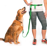 The Buddy System Waist Leash - Hands Free Dog Leash, Adjustable Leash for Running, Jogging, Training and Service Dogs, Great for Small, Medium and Large Dogs, Made in USA - for Regular Dogs Made in USA (over 20 Pounds)