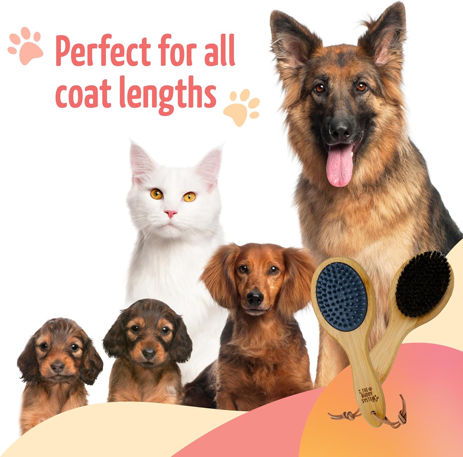 The Buddy System - Combo Bristle Pet Brush, 2-in-1 Brush
