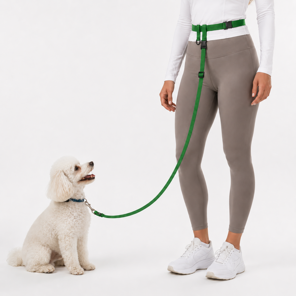 The Buddy System Waist Leash - Hands Free Dog Leash, Adjustable Leash for Running, Jogging, Training and Service Dogs, Great for Small, Medium and Large Dogs, Made in USA - for Small Dogs (under 20 pounds)-GREEN