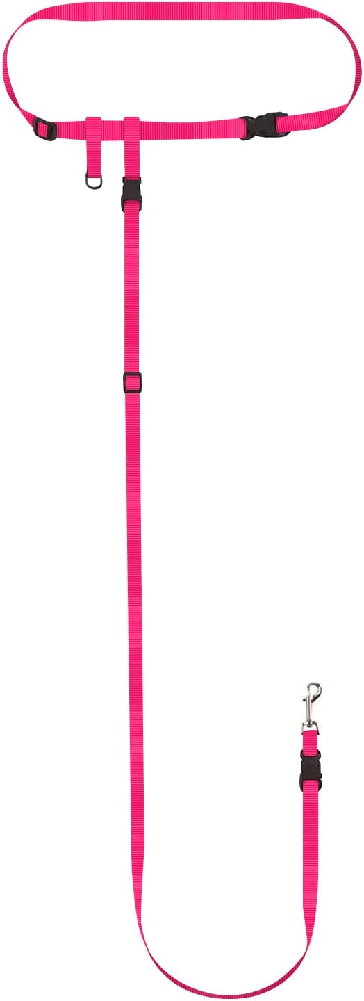 The Buddy System Waist Leash - Hands Free Dog Leash, Adjustable Leash for Running, Jogging, Training and Service Dogs, Great for Small, Medium and Large Dogs, Made in USA - for Small Dogs (under 20 pounds) PINK
