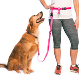 The Buddy System Waist Leash - Hands Free Dog Leash, Adjustable Leash for Running, Jogging, Training and Service Dogs, Great for Small, Medium and Large Dogs, Made in USA - for Regular Dogs Made in USA (over 20 Pounds)