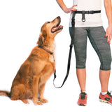 The Buddy System Waist Leash - Hands Free Dog Leash, Adjustable Leash for Running, Jogging, Training and Service Dogs, Great for Small, Medium and Large Dogs, Made in USA - for Regular Dogs Made in USA (over 20 Pounds)