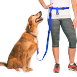 The Buddy System Waist Leash - Hands Free Dog Leash, Adjustable Leash for Running, Jogging, Training and Service Dogs, Great for Small, Medium and Large Dogs, Made in USA - for Regular Dogs Made in USA (over 20 Pounds)