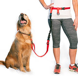 The Buddy System Lunge Buster Shock Absorber Dog Leash, for Walking, Running, Jogging and Training Service Dogs - Regular Dog System