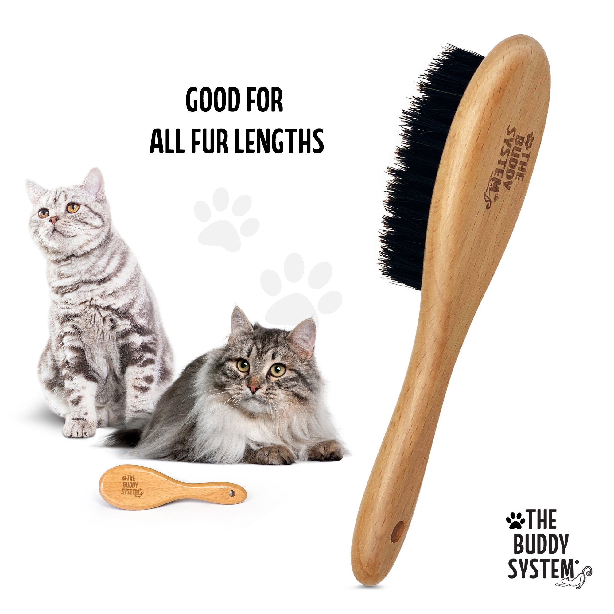 The Buddy System Dog and Cat Brush with Boar Bristle and Wooden Handle, Professional Grade Daily Grooming Hairbrush, Reduce Shedding, Soft Hair and Healthy Shine
