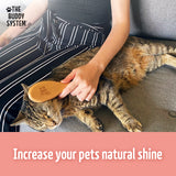 The Buddy System Dog and Cat Brush with Boar Bristle and Wooden Handle, Professional Grade Daily Grooming Hairbrush, Reduce Shedding, Soft Hair and Healthy Shine