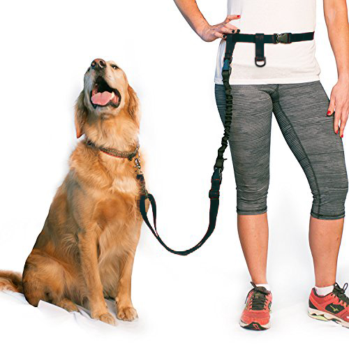 BUNDLE -  Regular Dog Leash + Regular Dog Lunge Buster