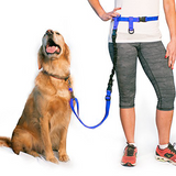 BUNDLE -  Regular Dog Leash + Regular Dog Lunge Buster
