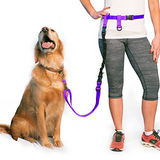 BUNDLE -  Regular Dog Leash + Regular Dog Lunge Buster