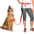 BUNDLE -  Regular Dog Leash + Regular Dog Lunge Buster