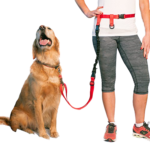 BUNDLE -  Regular Dog Leash + Regular Dog Lunge Buster