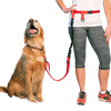 BUNDLE -  Regular Dog Leash + Regular Dog Lunge Buster