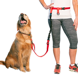 BUNDLE -  Regular Dog Leash + Regular Dog Lunge Buster