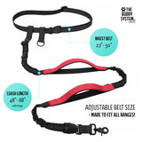 The Buddy System Reflective Leash System with Buddy Bag, Dual Handle and Hands Free Dog Leash for Walking, Running, Jogging and Training Service Dogs, Adjustable Belt Waist, One Size